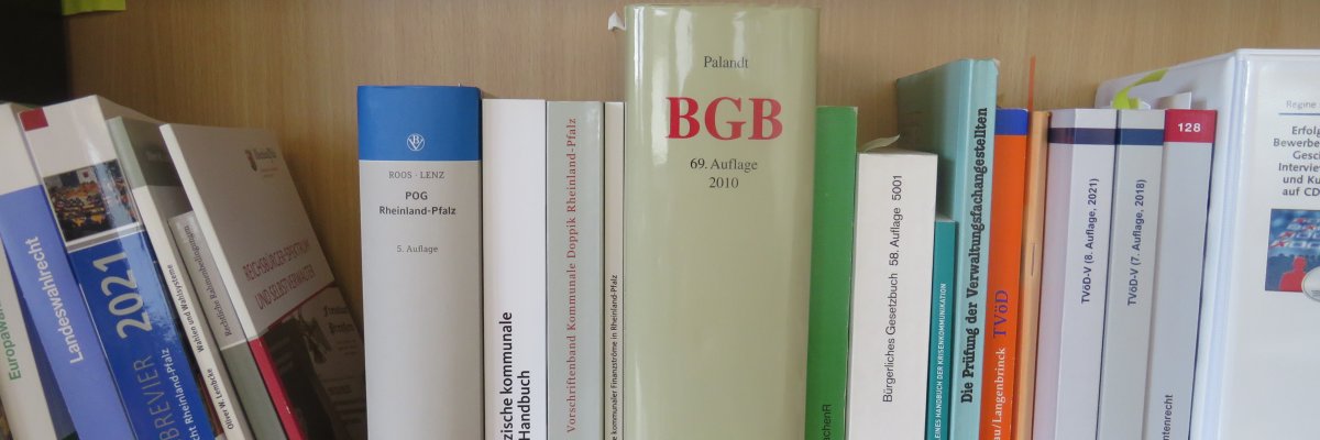Gesetzbücher im Regal stehend