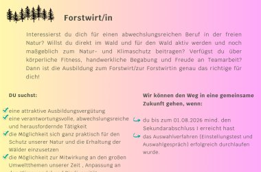 Ausschreibung_Insta - 4