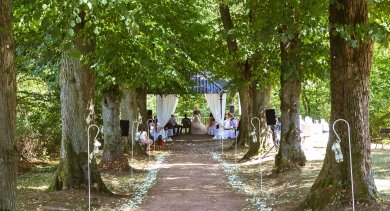 Blick in die Lindenallee