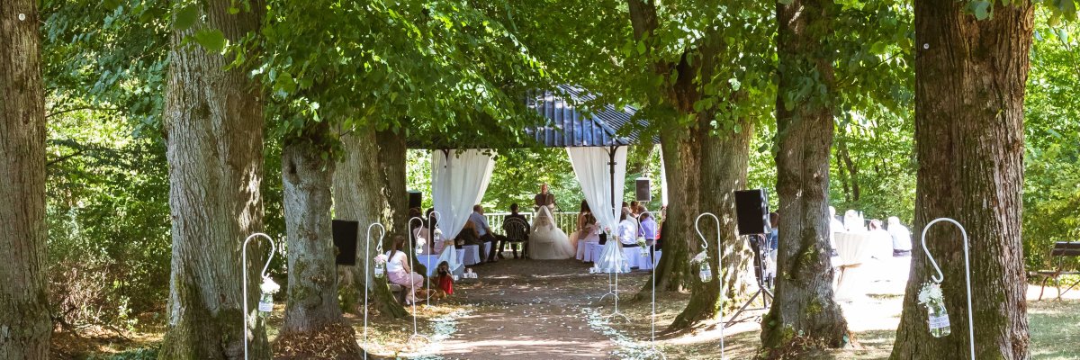 Blick in die Lindenallee Blick in die Lindenallee