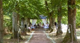 Blick in die Lindenallee Blick in die Lindenallee