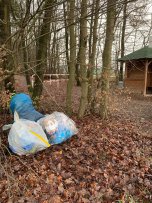 Müllablagerung im Wald