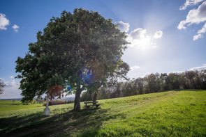 Schäferskreuz Breitscheid Schäferskreuz Breitscheid