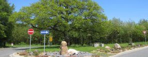 Ortseingang Hümmerich mit Eiche Ortseingang Hümmerich mit Eiche