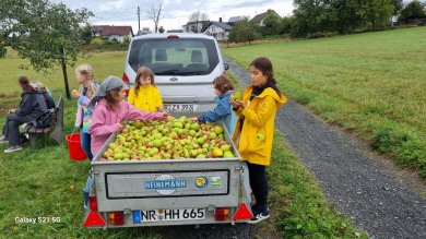 Apfelsammelaktion Apfelsammelaktion