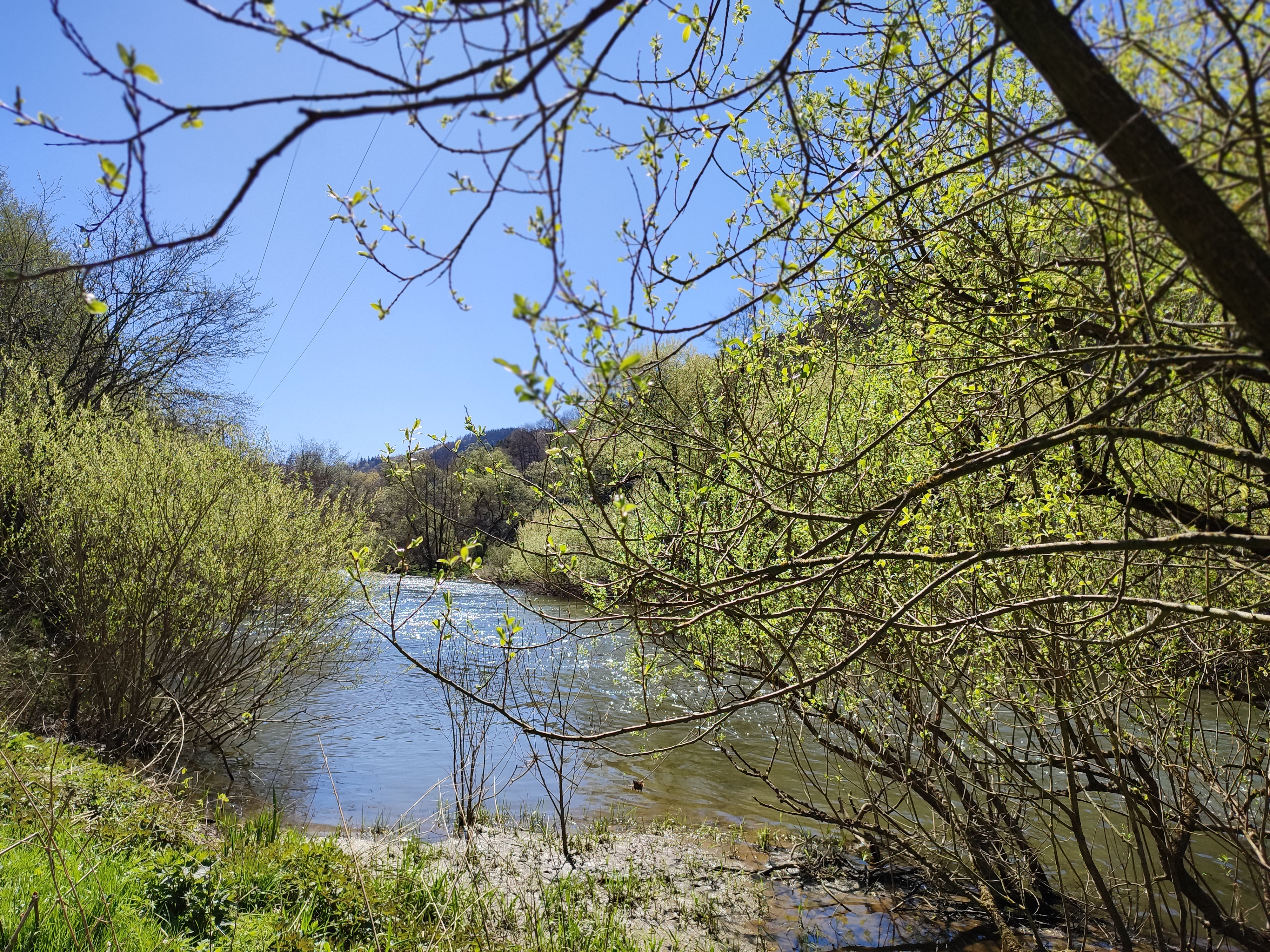 Frühling an der Wied