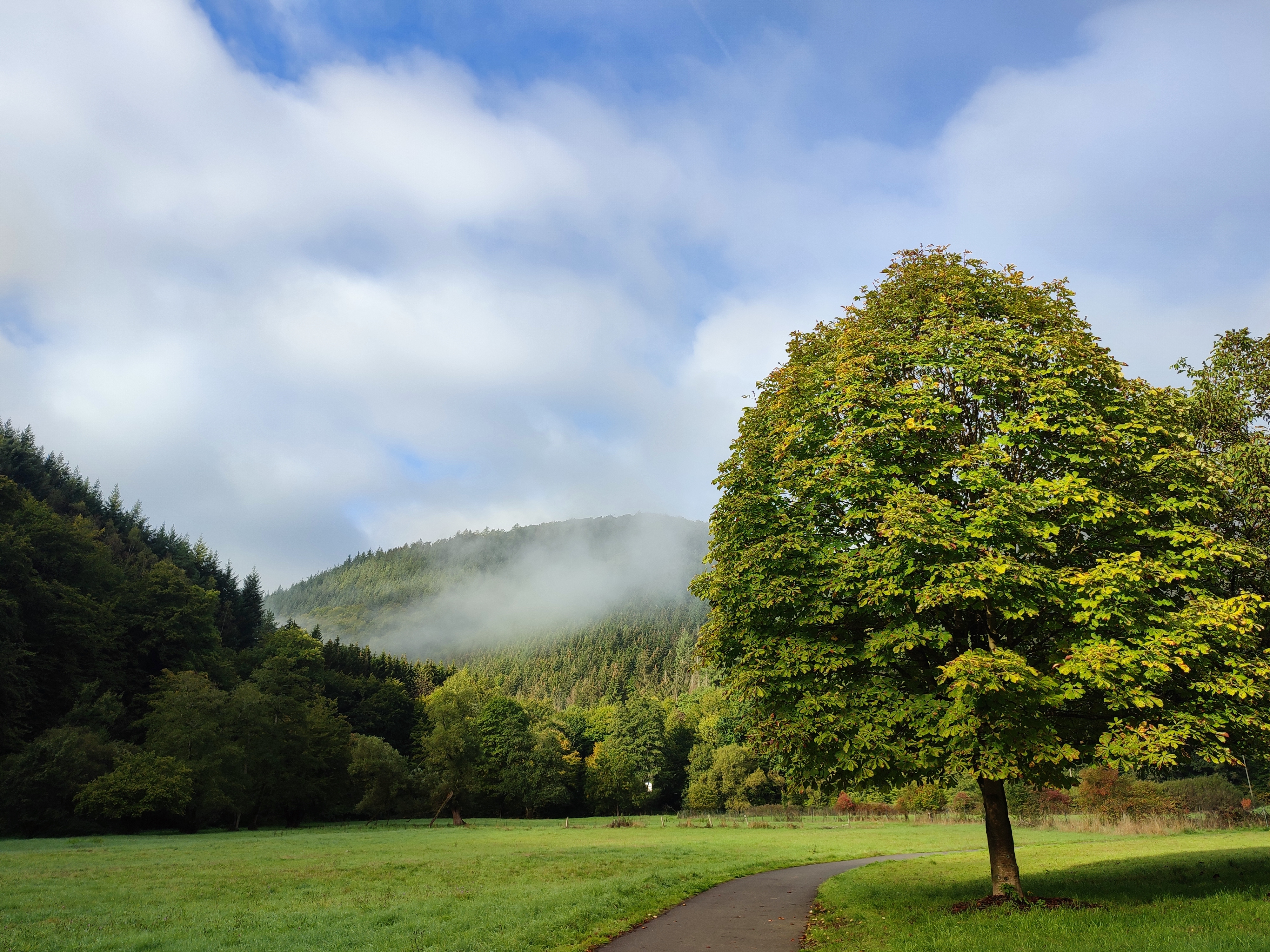 Herbst im Wiedtal Herbst im Wiedtal
