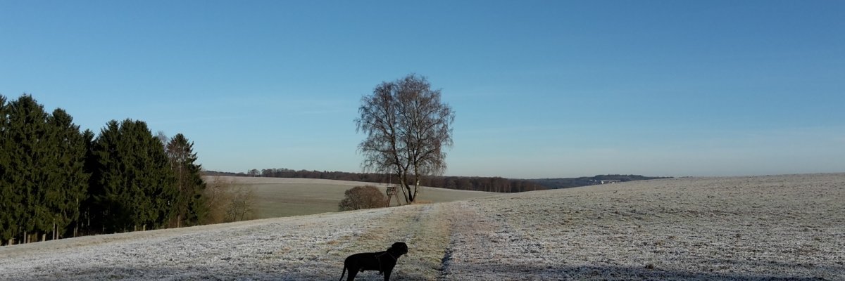 Verschneite Winterlandschaft